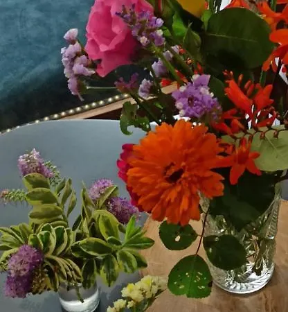 酒店 达贝雷拉酒店